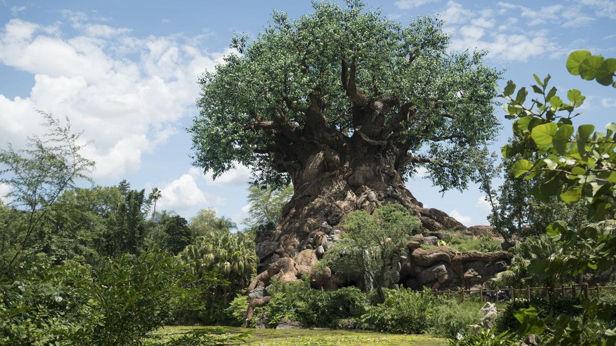 Tree of Life in Animal Kingdom